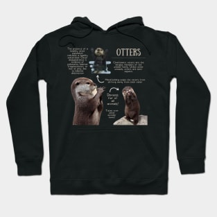 Animal Facts - Otter Hoodie